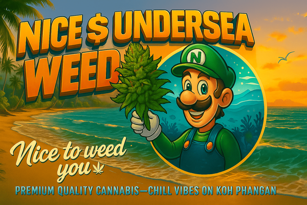 NICE$UnderSeaWeed brand artwork